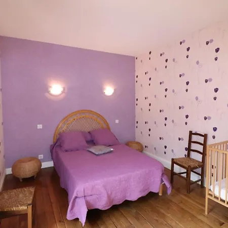 Vakantiehuis Maison De Caractere Renovee A Mauriac: 12 Pers, Jardin Clos, Cheminee, Proche Activites Nature - Fr-1-742-120